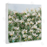 Emma Bell | Daisy Field in Springtime