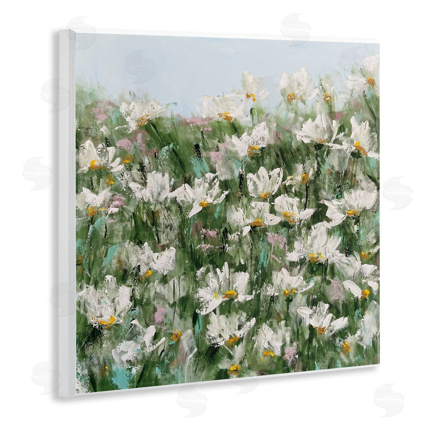 Emma Bell | Daisy Field in Springtime