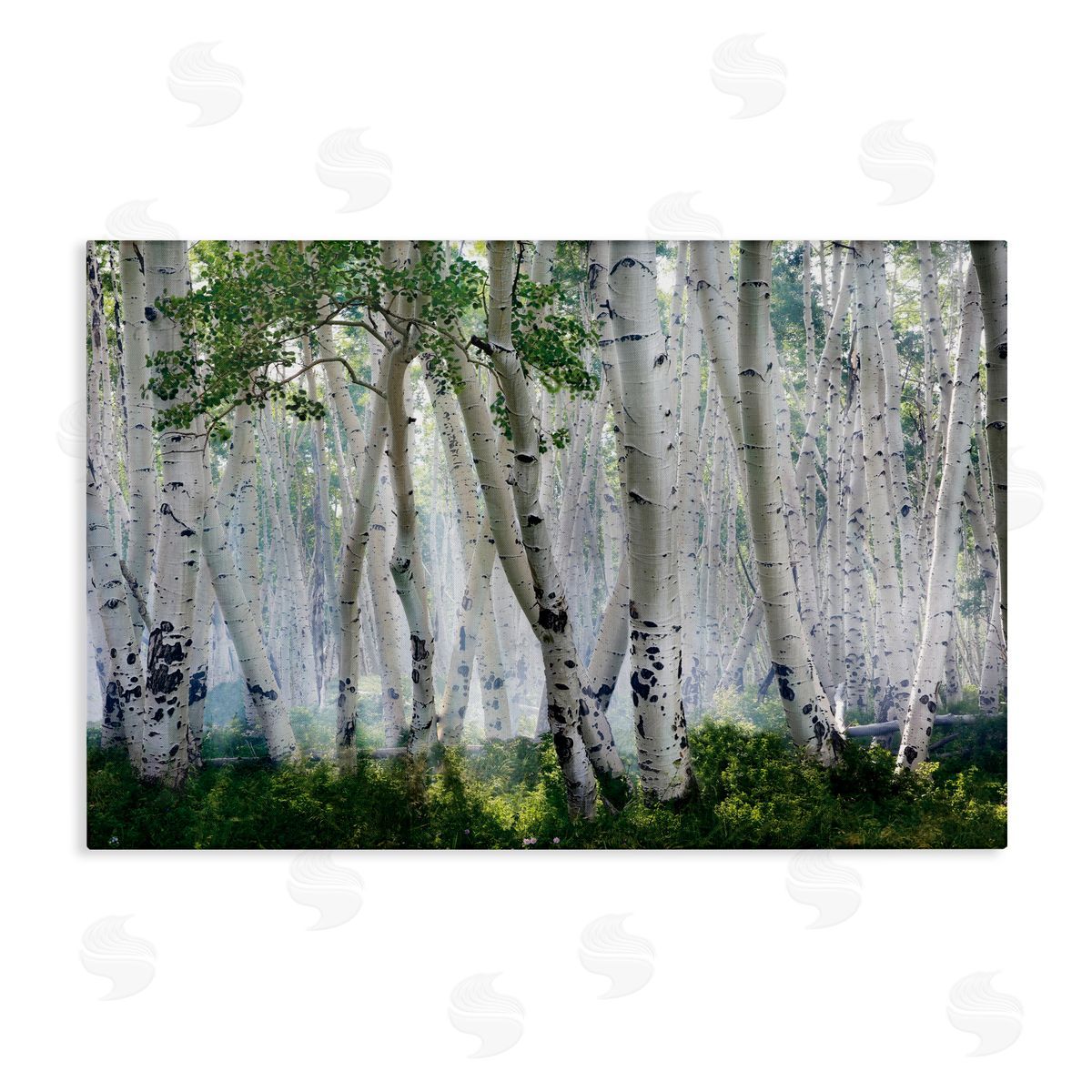 Mike Jones Up In The Clouds Canvas Wall Art Print