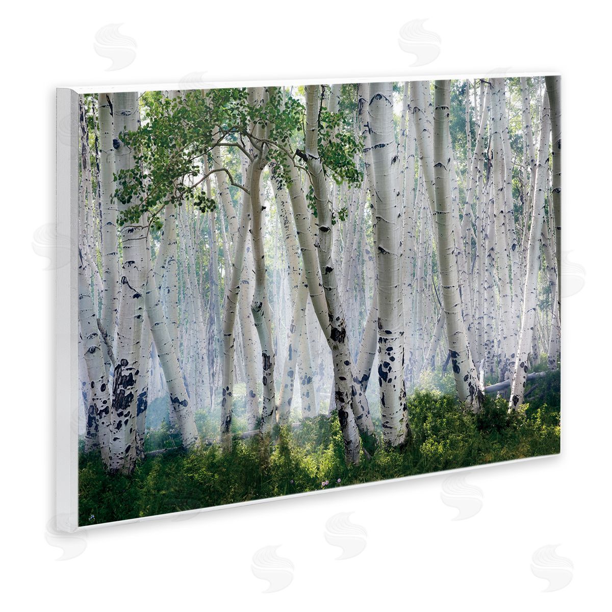 Mike Jones Up In The Clouds Canvas Wall Art Print