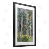 Christine Debrosky | Hidden Path Forest Trees