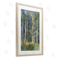 Christine Debrosky | Hidden Path Forest Trees