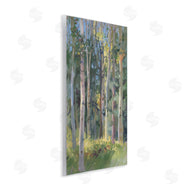 Christine Debrosky | Hidden Path Forest Trees
