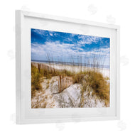 Celebrate Life Gallery | The Dunes Summer Beach Day