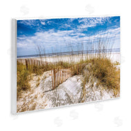 Celebrate Life Gallery | The Dunes Summer Beach Day