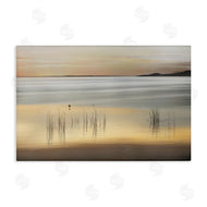 Marvin Pelkey | Golden Marsh Grasses