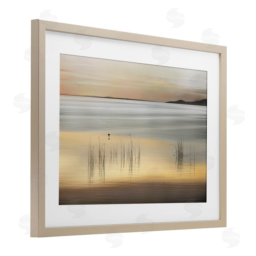Marvin Pelkey | Golden Marsh Grasses