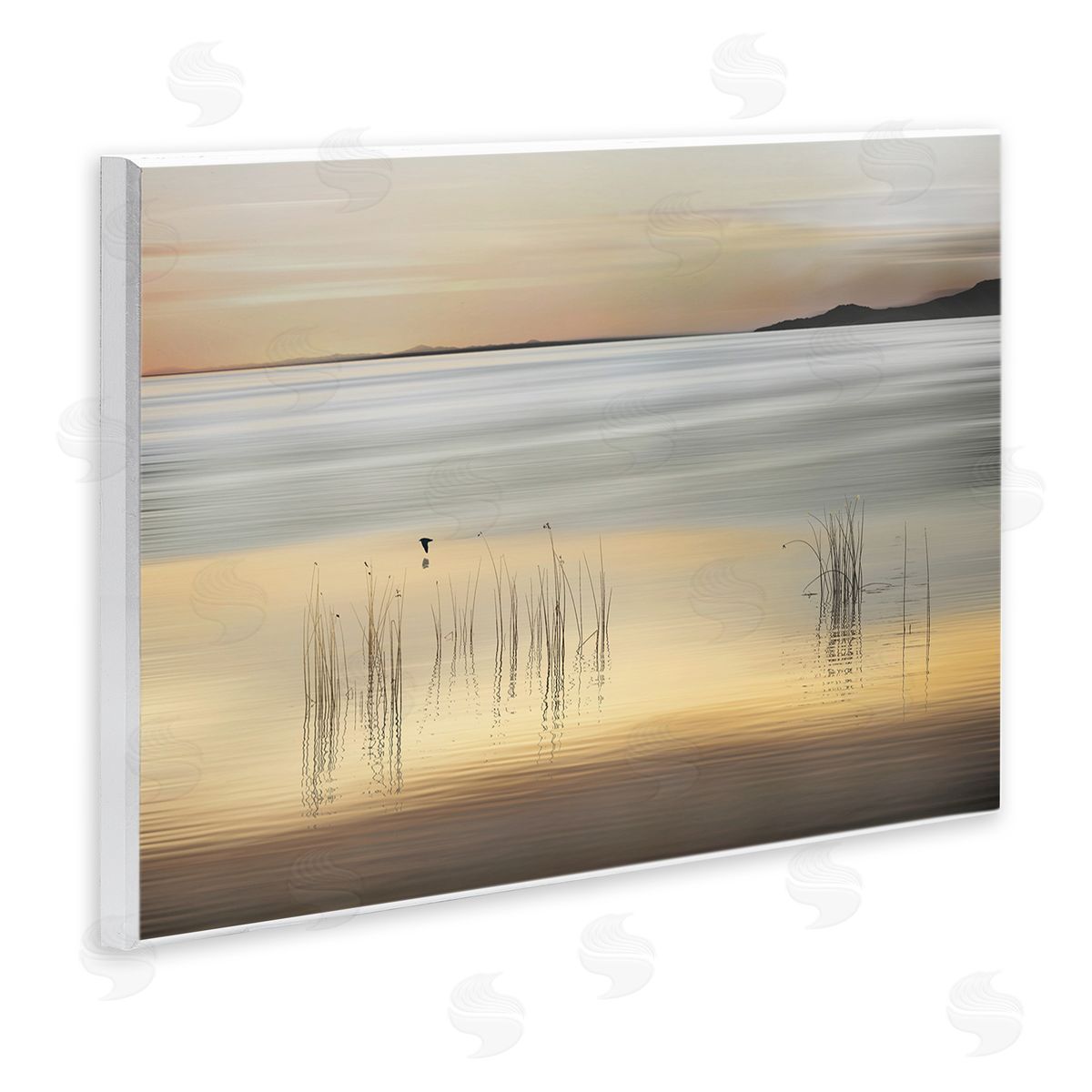 Marvin Pelkey Golden Marsh Grasses Canvas Wall Art Print