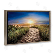 Celebrate Life Gallery | Desert Trail In Sunrise