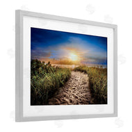 Celebrate Life Gallery | Desert Trail In Sunrise