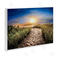 Celebrate Life Gallery | Desert Trail In Sunrise