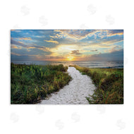 Celebrate Life Gallery | Morning Trail To Beach