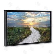 Celebrate Life Gallery | Morning Trail To Beach