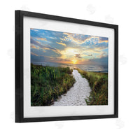 Celebrate Life Gallery | Morning Trail To Beach