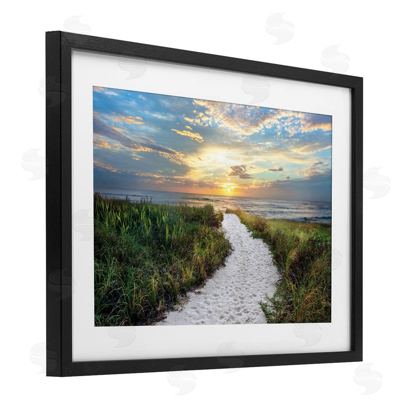 Celebrate Life Gallery | Morning Trail To Beach
