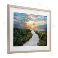 Celebrate Life Gallery | Morning Trail To Beach