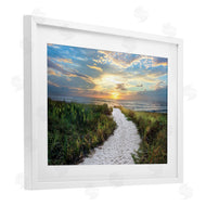 Celebrate Life Gallery | Morning Trail To Beach