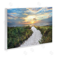 Celebrate Life Gallery | Morning Trail To Beach