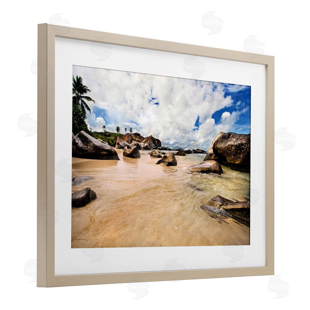 Seven Trees Design Devil's Bay Beach Birch Framed Print Under Glass with White Mat Wall Art