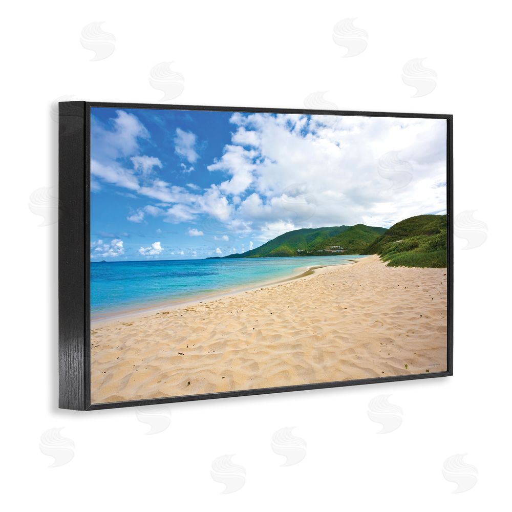 Seven Trees Design Coastal Caribbean Beach Black Framed Giclee Wall Art Print