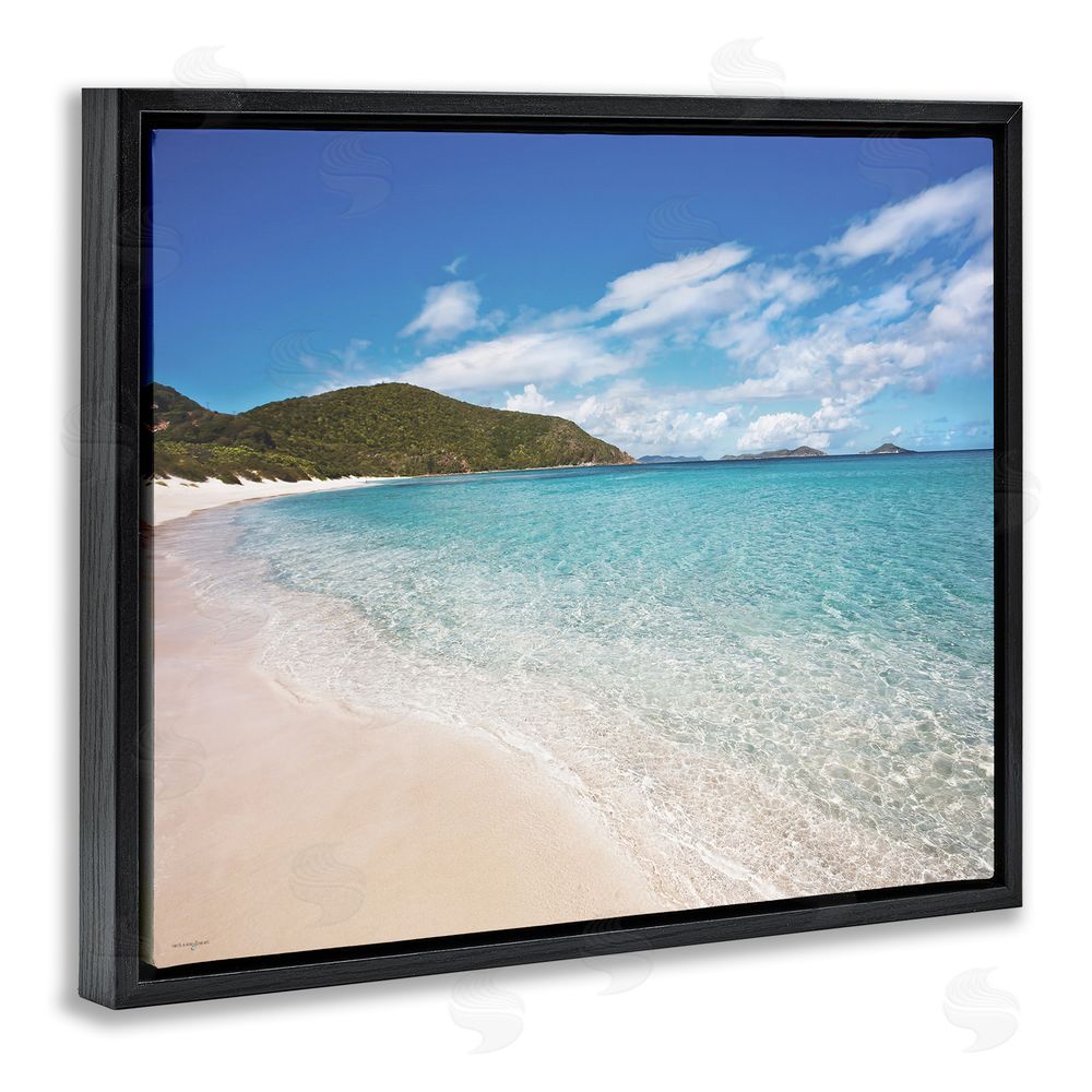 Seven Trees Design Coastal Caribbean Shoreline Black Floating Frame Canvas Wall Art Print