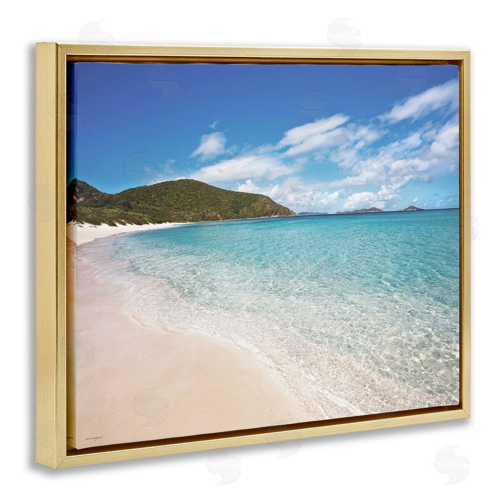 Seven Trees Design Coastal Caribbean Shoreline Gold Floating Frame Canvas Wall Art Print