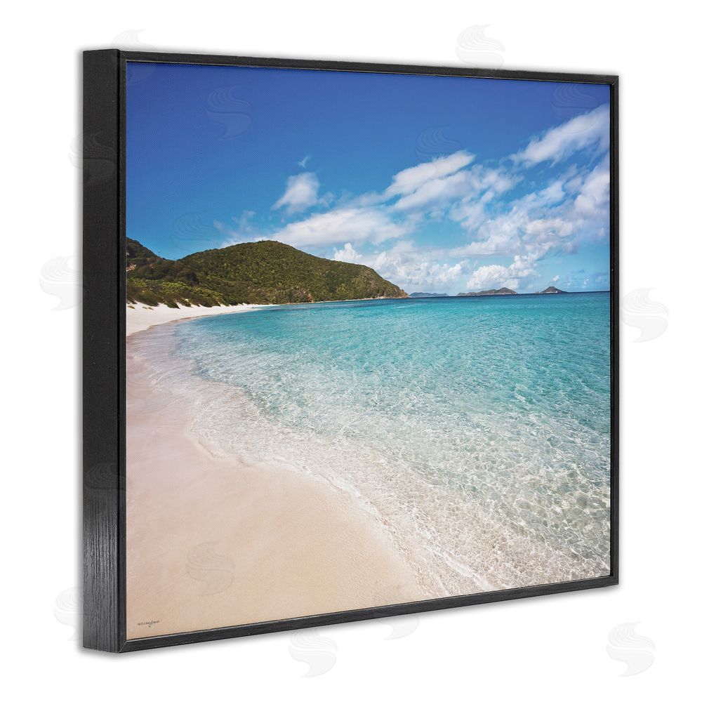 Seven Trees Design Coastal Caribbean Shoreline Black Framed Giclee Wall Art Print