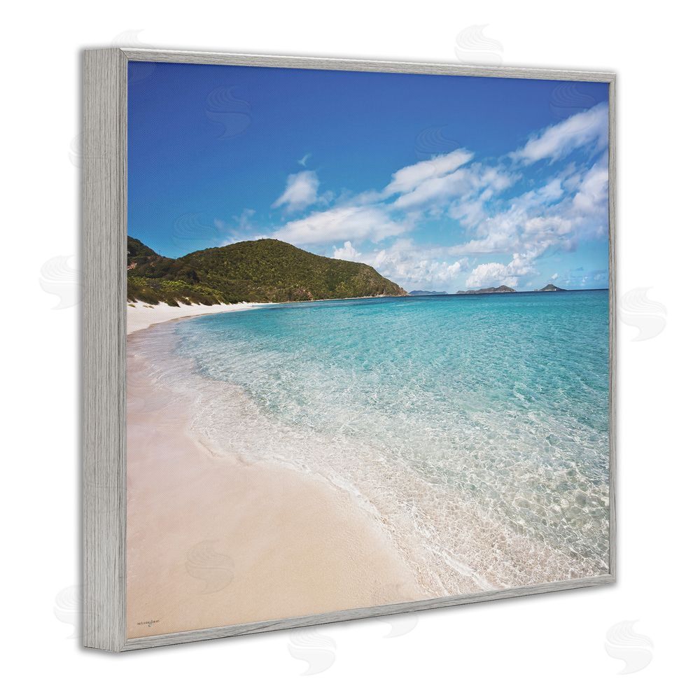 Seven Trees Design Coastal Caribbean Shoreline Gray Framed Giclee Wall Art Print