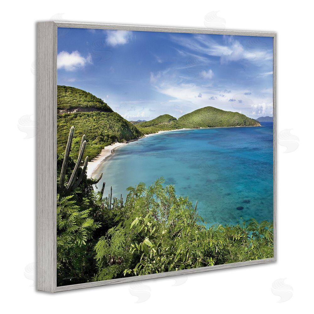 Seven Trees Design Caribbean Overlook Landscape Gray Framed Giclee Wall Art Print