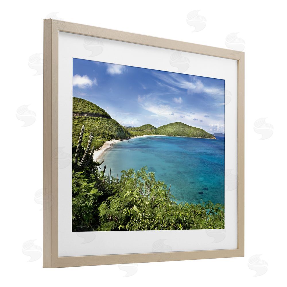 Seven Trees Design Caribbean Overlook Landscape Birch Framed Print Under Glass with White Mat Wall Art