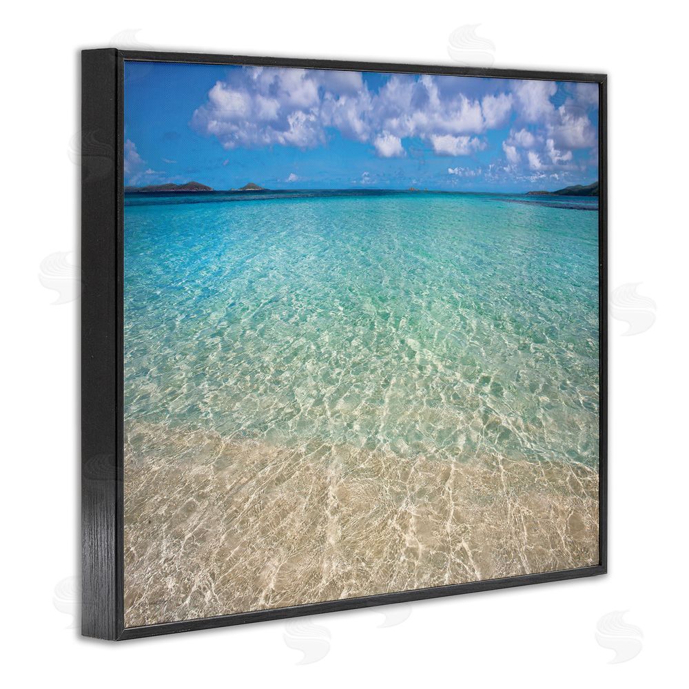 Seven Trees Design Clear Caribbean Beach Waters Black Framed Giclee Wall Art Print