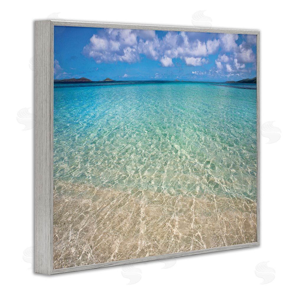 Seven Trees Design Clear Caribbean Beach Waters Gray Framed Giclee Wall Art Print