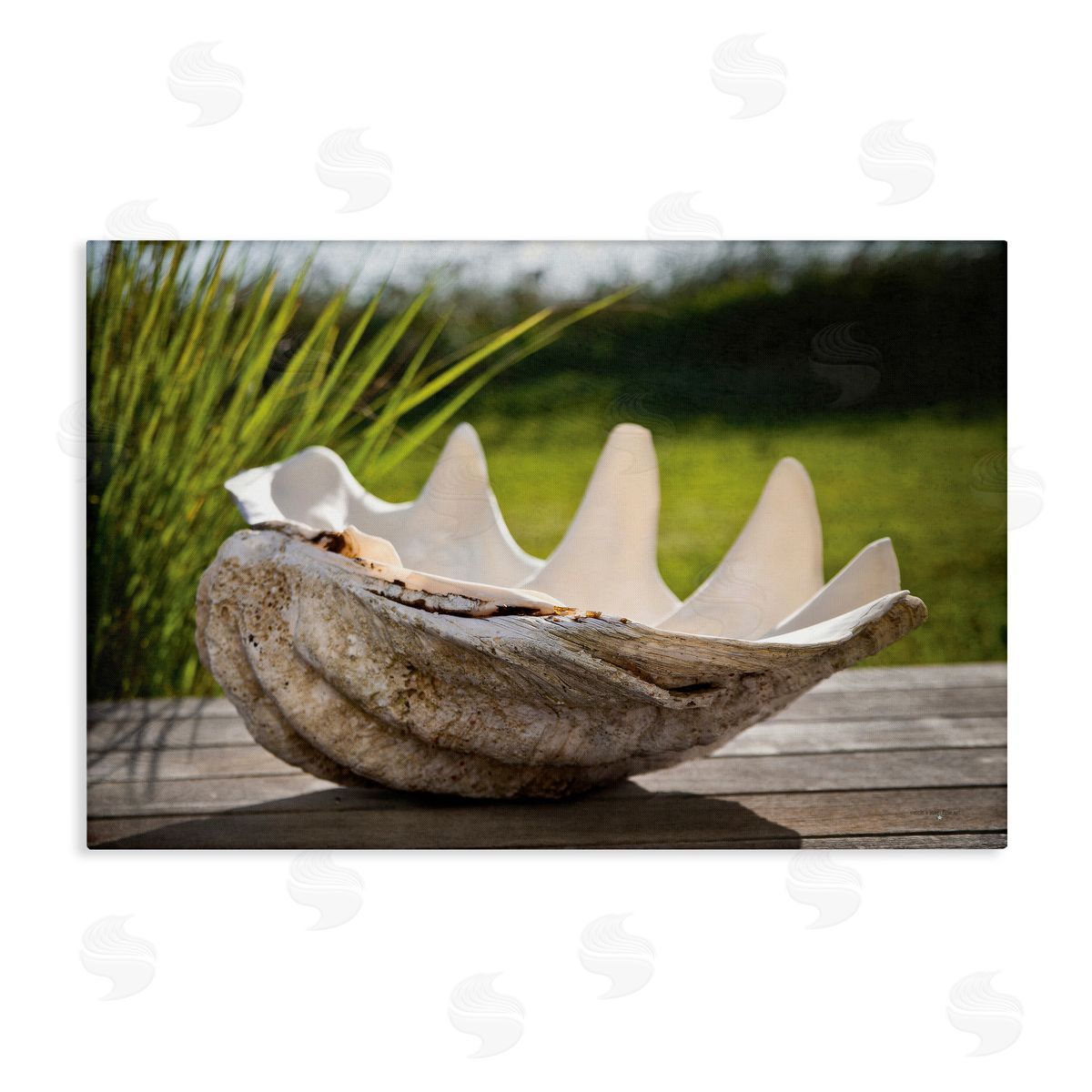 Seven Trees Design Sea Treasure Shell Canvas Wall Art Print