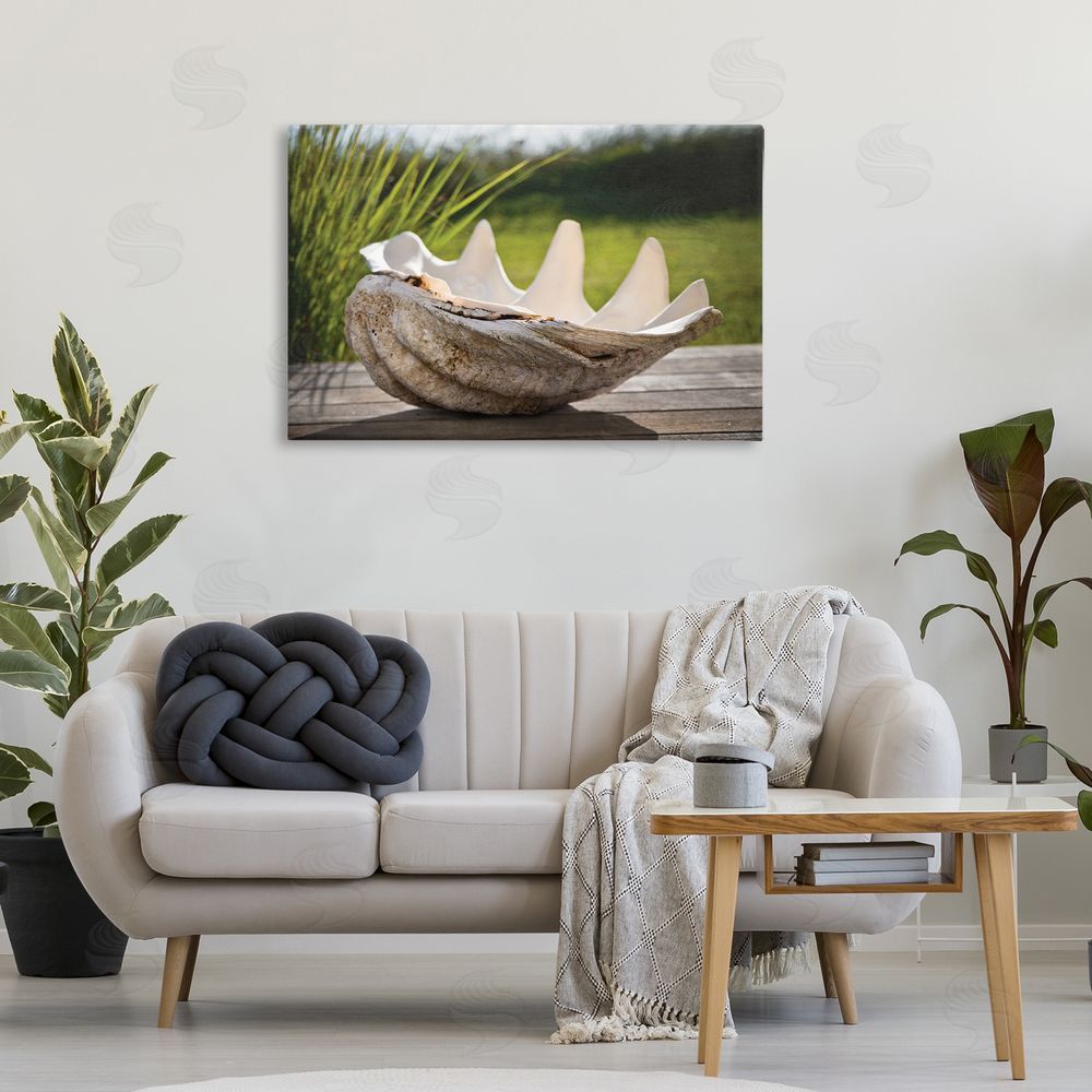Seven Trees Design Sea Treasure Shell Canvas Art on Wall