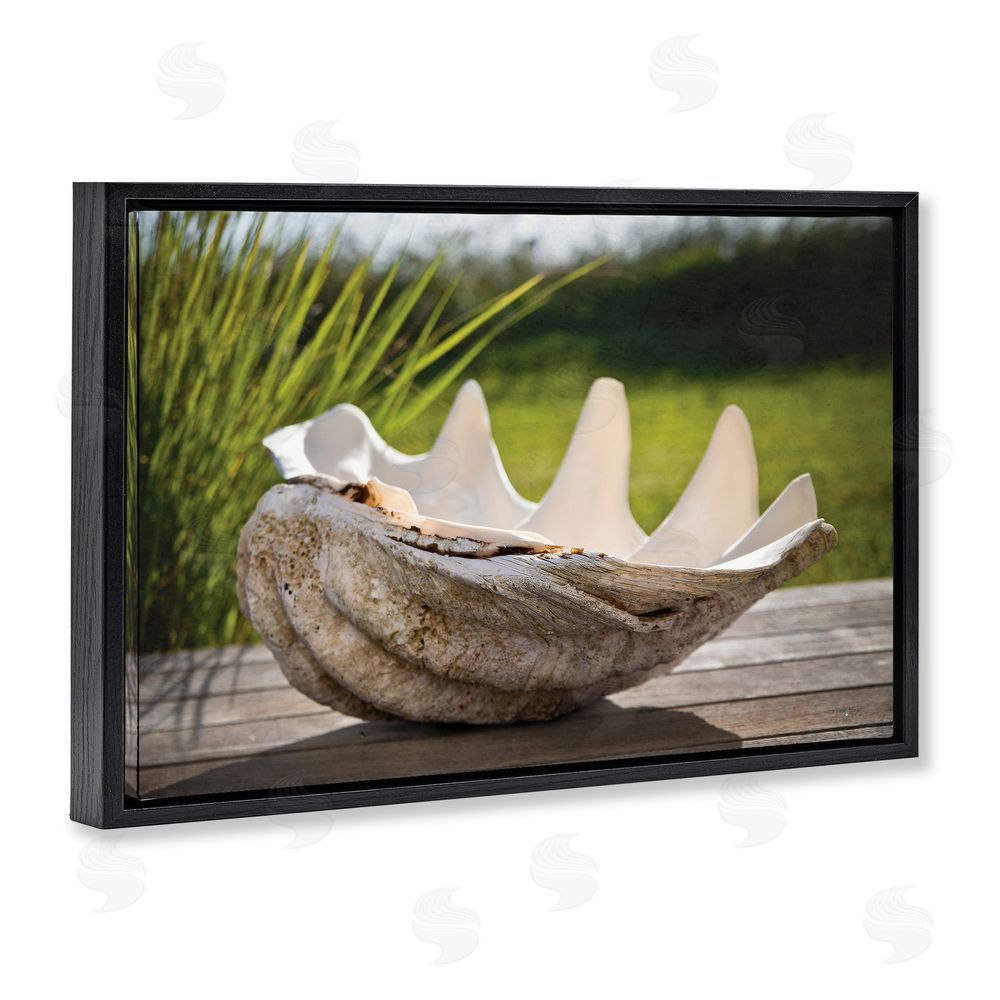 Seven Trees Design Sea Treasure Shell Black Floating Frame Canvas Wall Art Print
