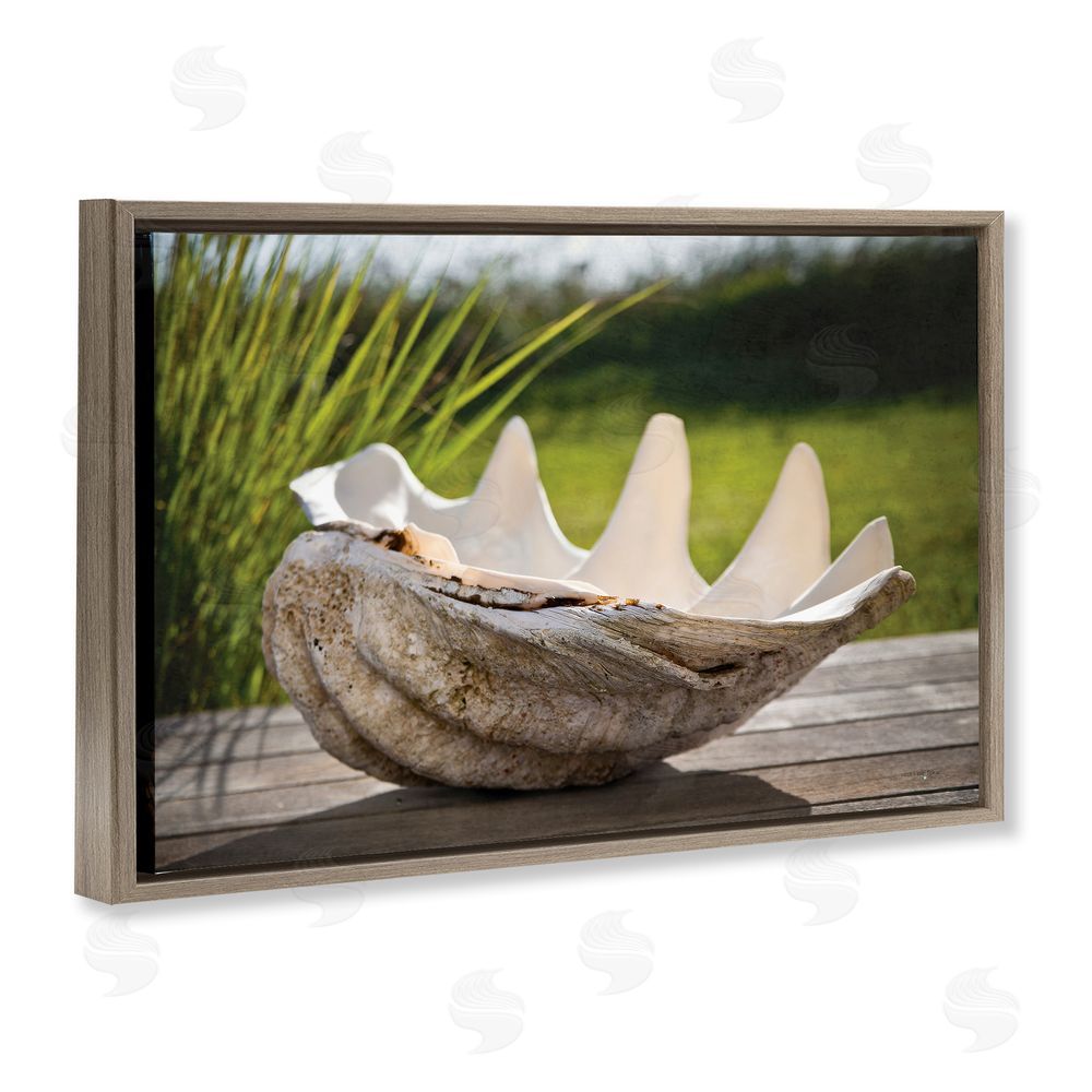 Seven Trees Design Sea Treasure Shell Brown Floating Frame Canvas Wall Art Print