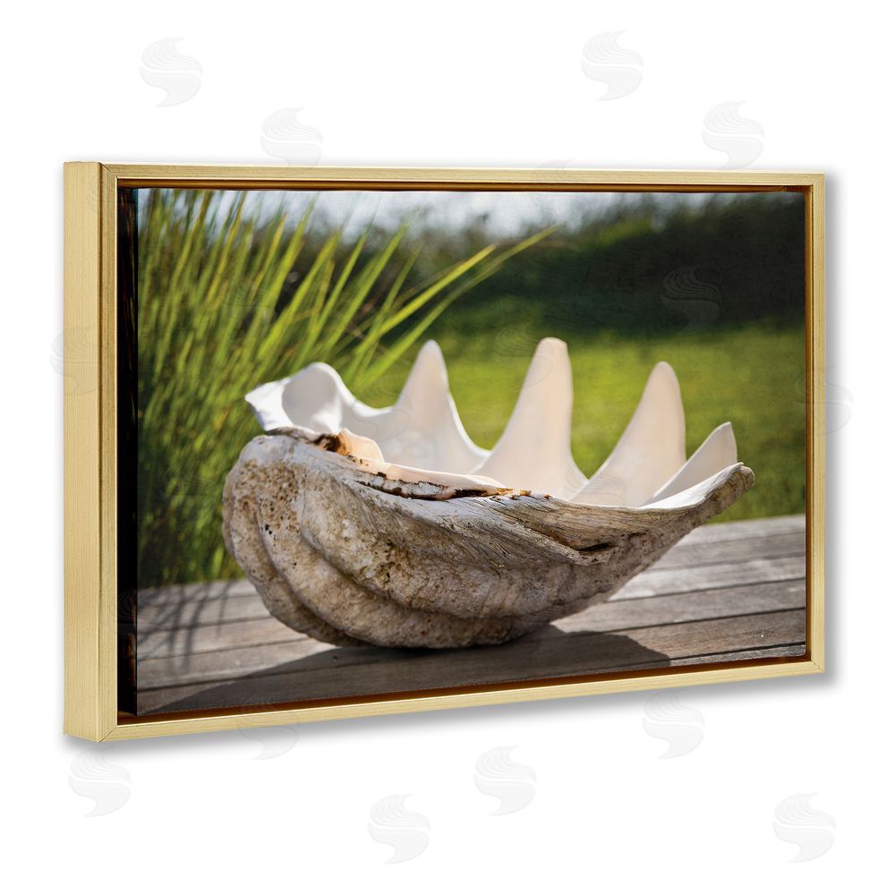 Seven Trees Design Sea Treasure Shell Gold Floating Frame Canvas Wall Art Print