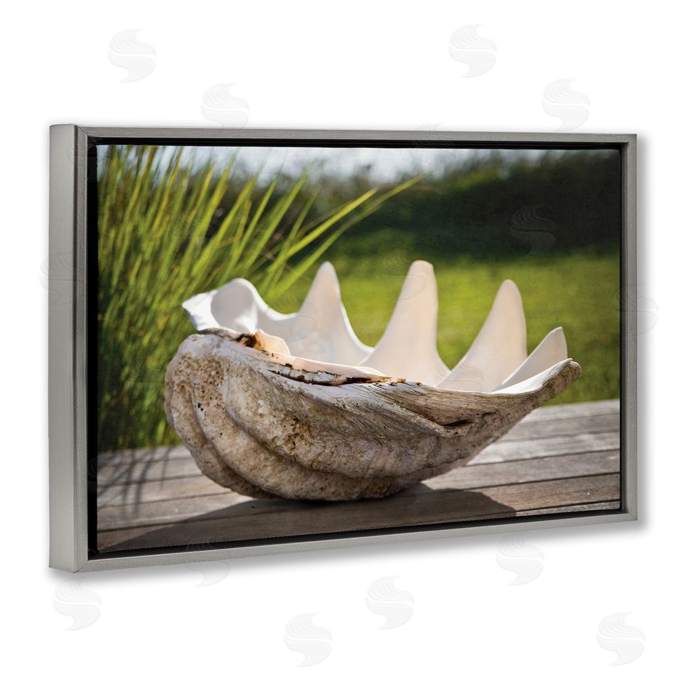 Seven Trees Design Sea Treasure Shell Gray Floating Frame Canvas Wall Art Print