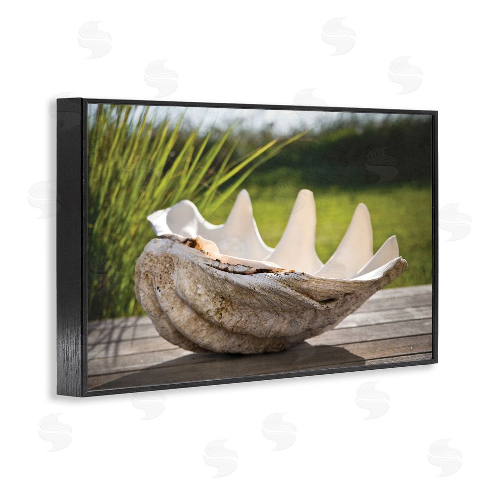 Seven Trees Design Sea Treasure Shell Black Framed Giclee Wall Art Print