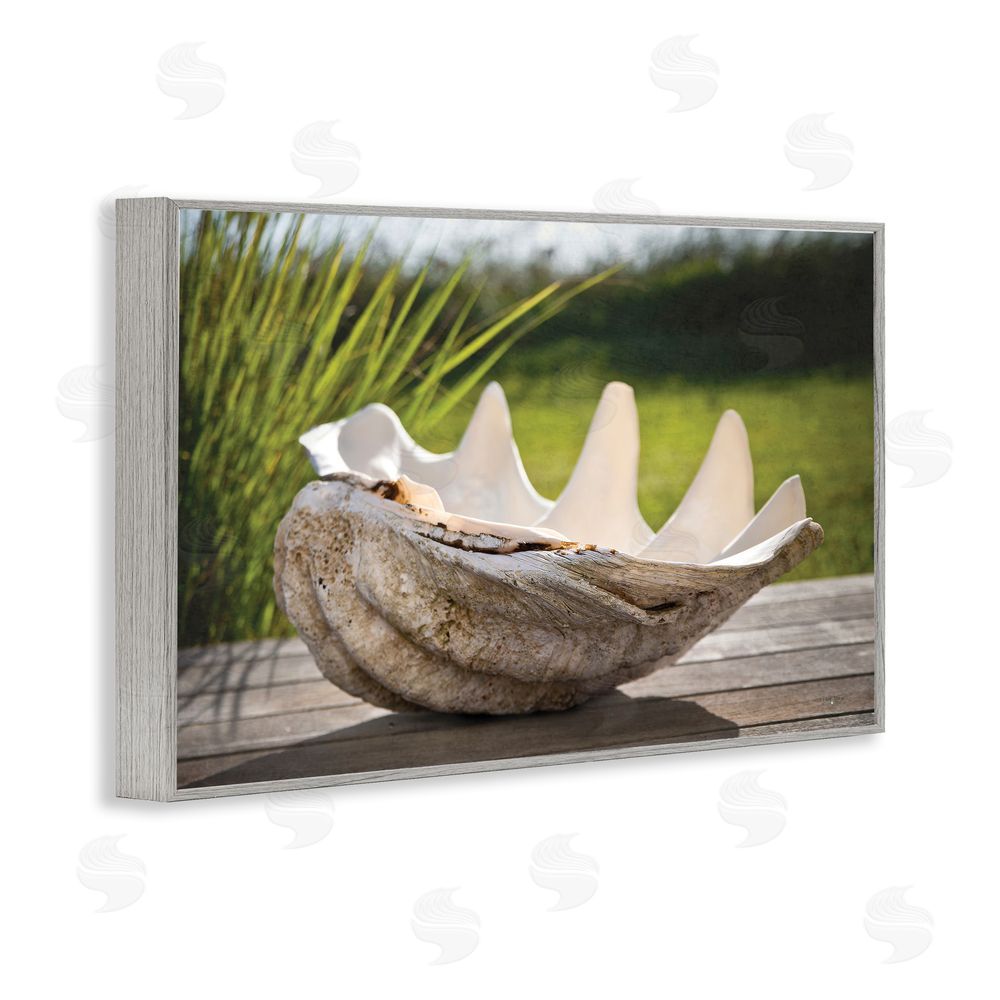 Seven Trees Design Sea Treasure Shell Gray Framed Giclee Wall Art Print