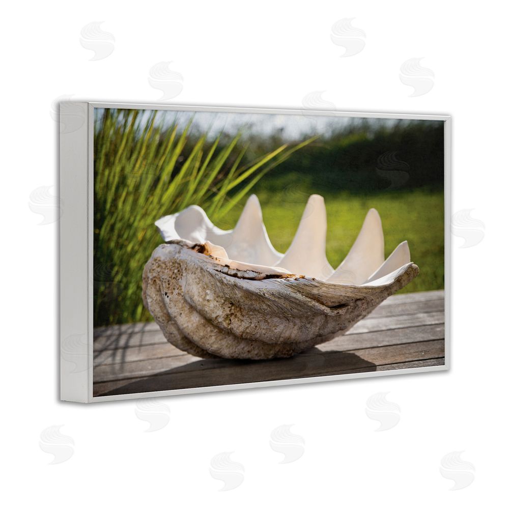 Seven Trees Design Sea Treasure Shell White Framed Giclee Wall Art Print