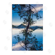 Robin Vandenabeele | Tree & Mountain Symmetry