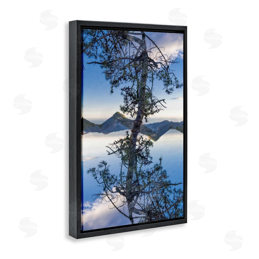 Robin Vandenabeele | Tree & Mountain Symmetry