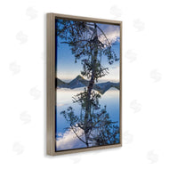 Robin Vandenabeele | Tree & Mountain Symmetry
