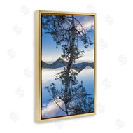Robin Vandenabeele | Tree & Mountain Symmetry