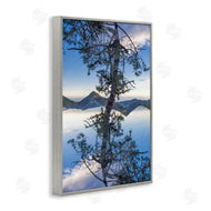 Robin Vandenabeele | Tree & Mountain Symmetry