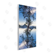 Robin Vandenabeele | Tree & Mountain Symmetry