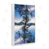Robin Vandenabeele | Tree & Mountain Symmetry