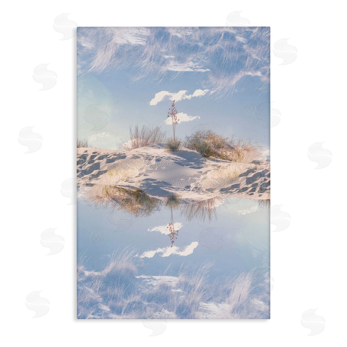 Robin Vandenabeele Sprouting From Beach Dune Reflection Canvas Wall Art Print