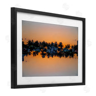 Robin Vandenabeele | Reflecting Sunset Palms